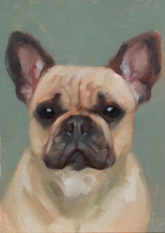 French Bulldog