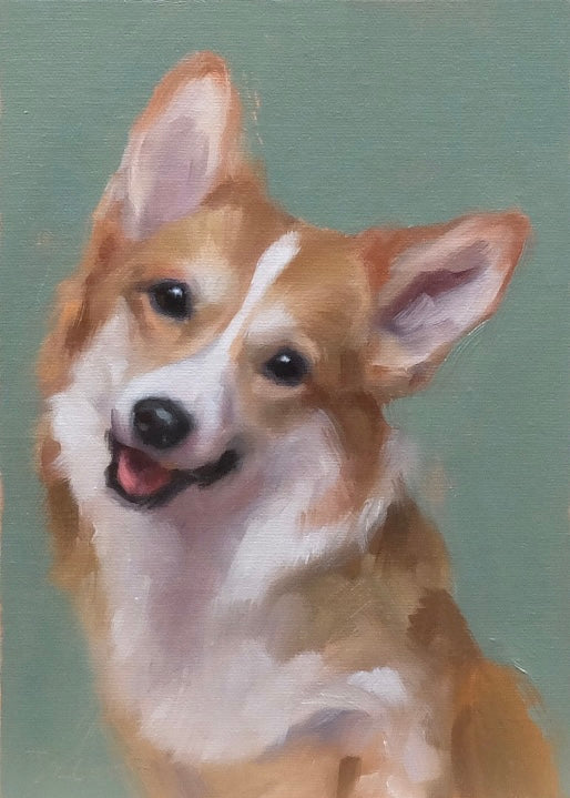 Corgi