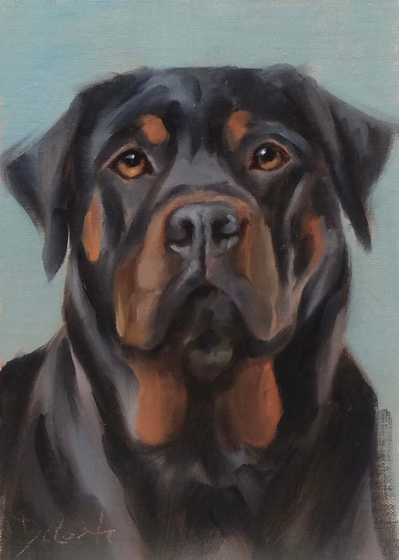 Rottweiler