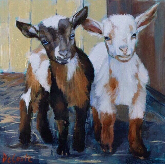 Baby Goats