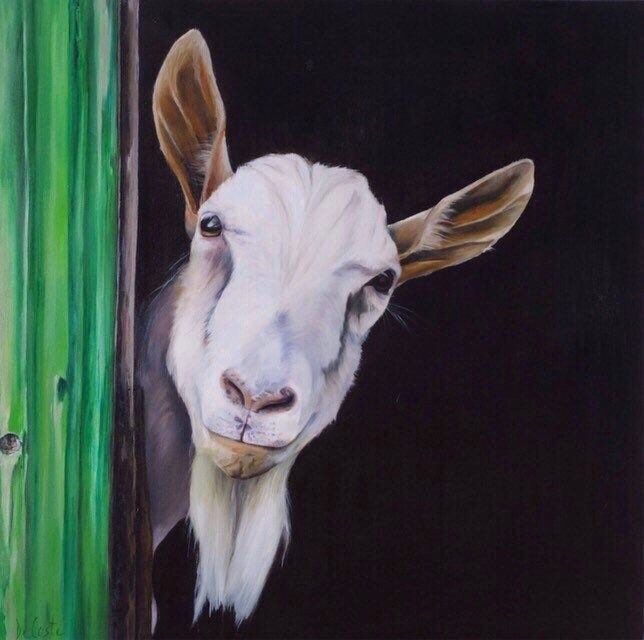 Vincent Van Goat