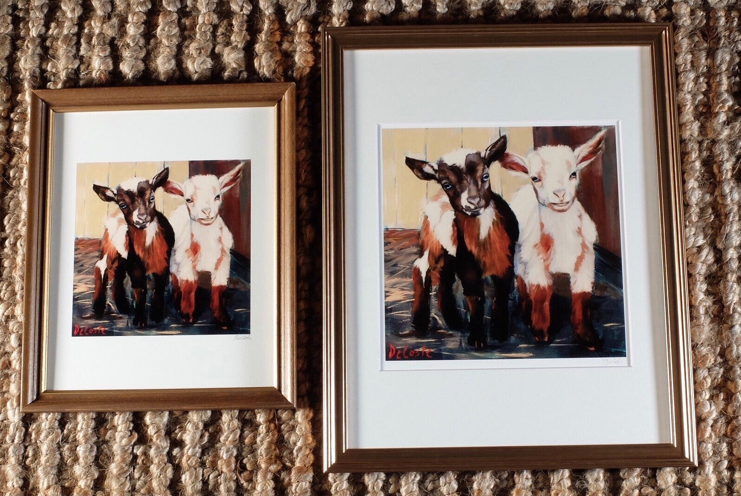 Baby Goats