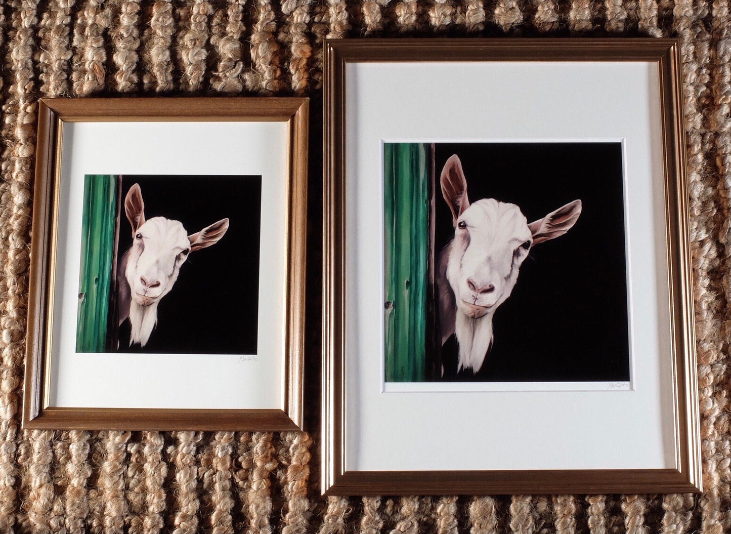 Vincent Van Goat