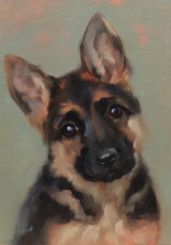 German Shepherd