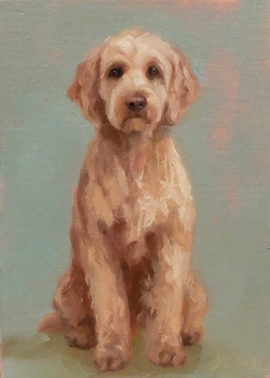 Golden Doodle
