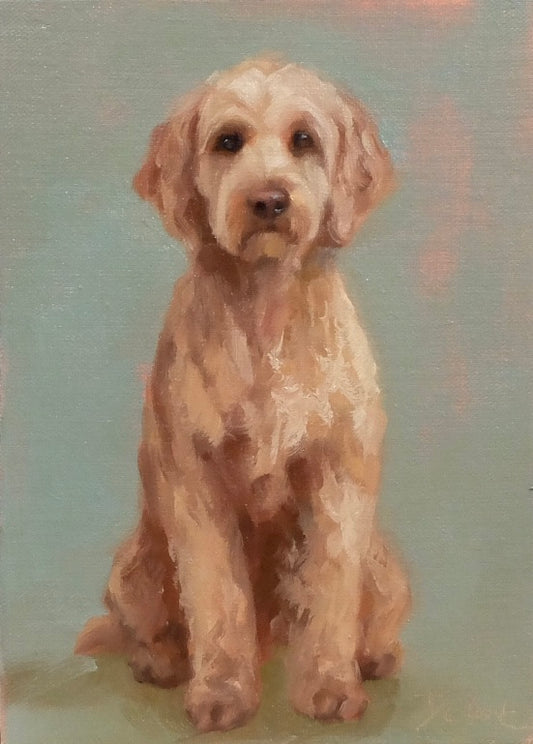 Golden Doodle