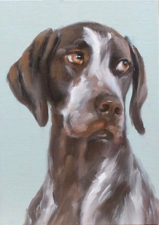 German Shorthaired Pointer