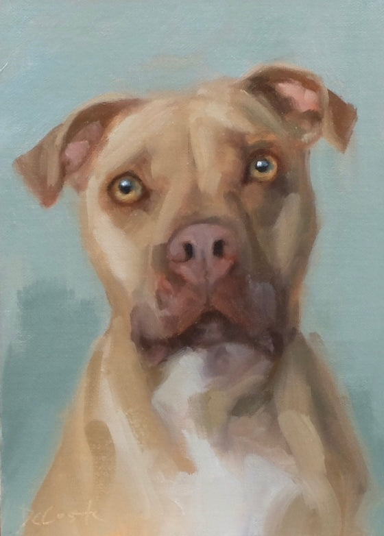 Pit Bull Terrier