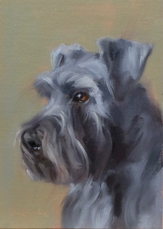 Miniature Schnauzer
