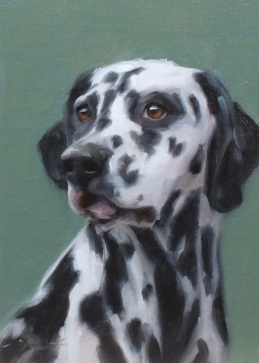 Dalmatian