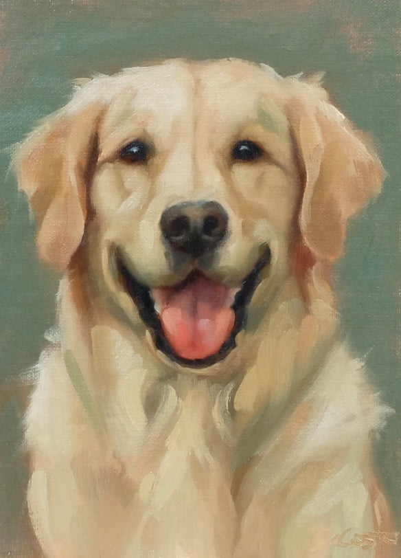 Golden Retriever
