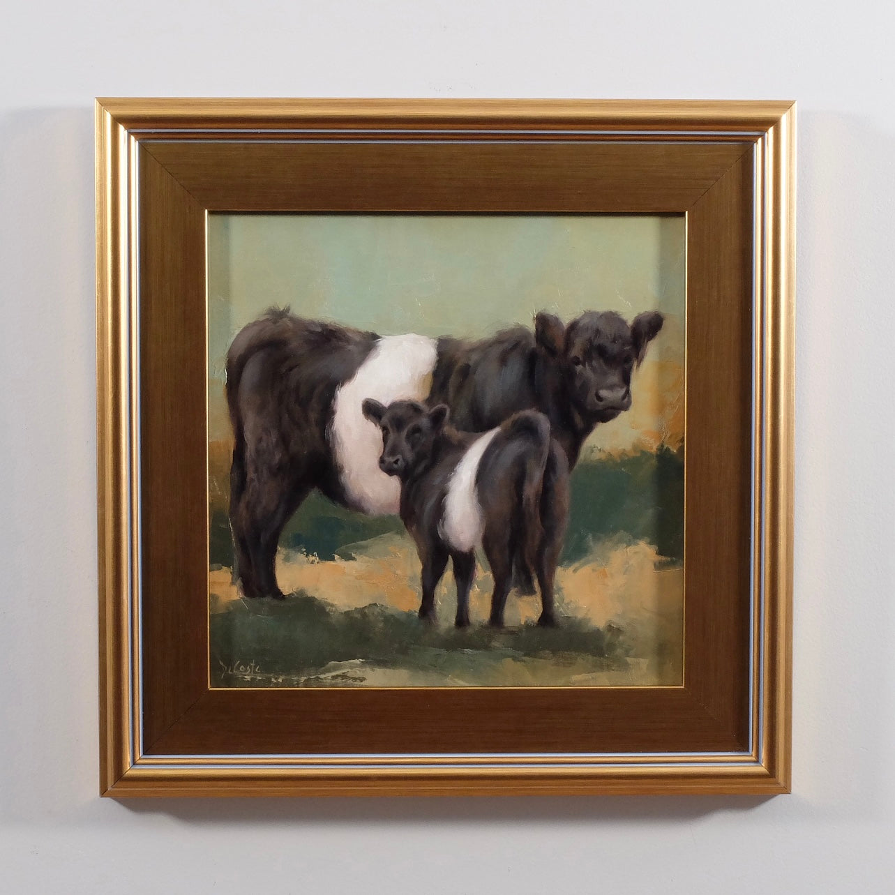 Cookies & Cream Belted Galloway Cows