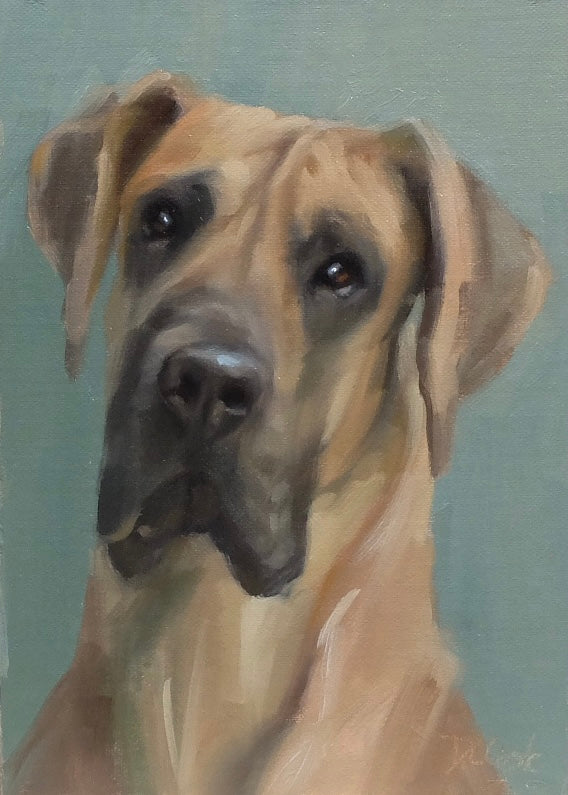 Great Dane
