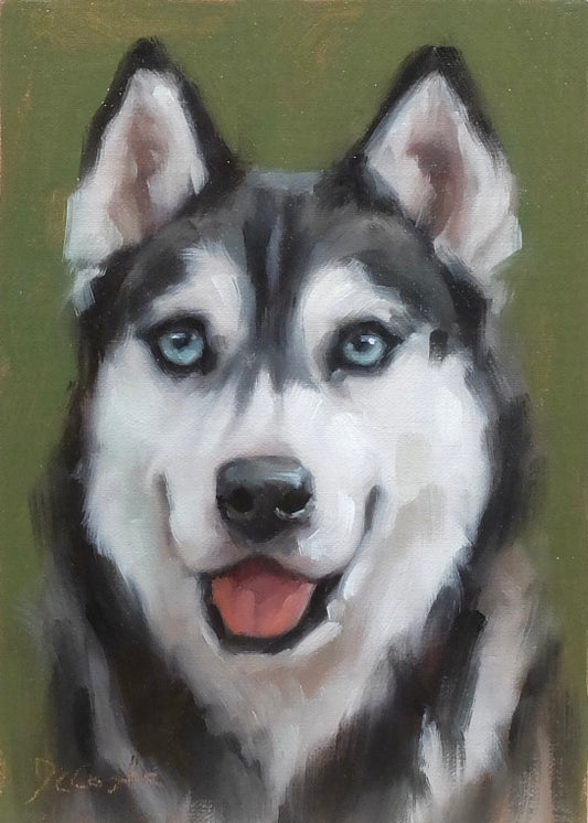 Siberian Husky