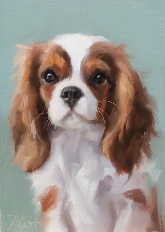Cavalier King Charles