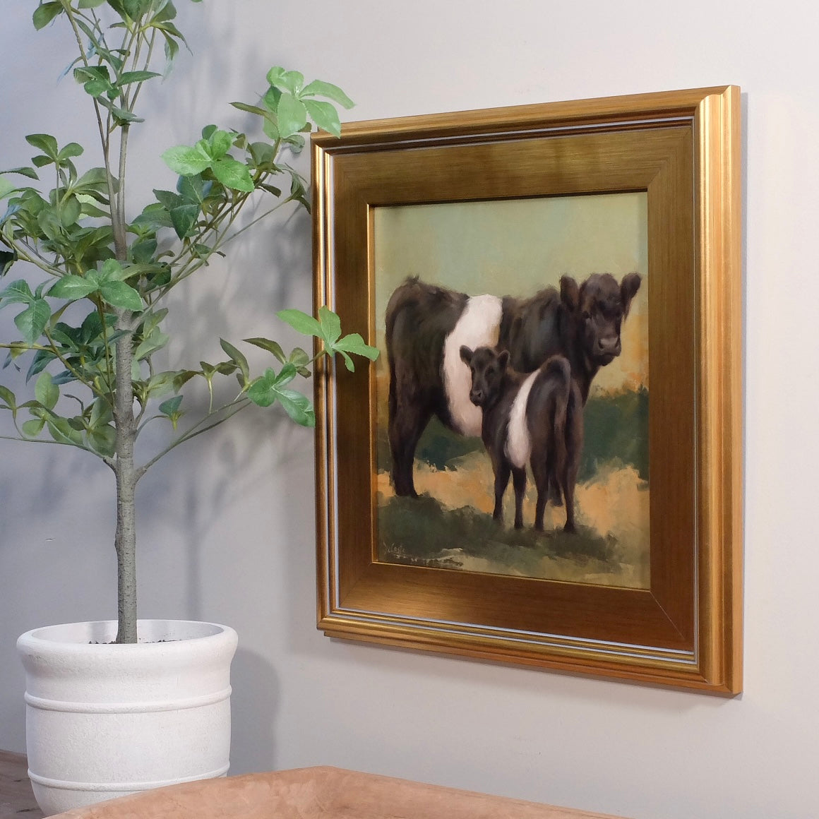 Cookies & Cream Belted Galloway Cows