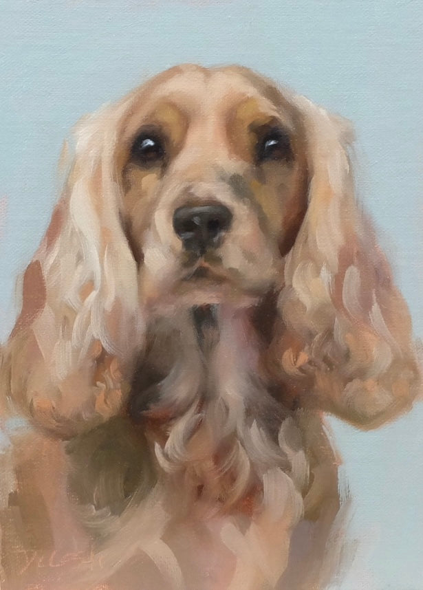 Cocker Spaniel