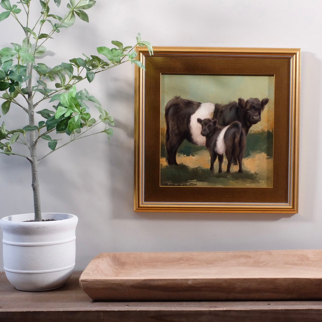 Cookies & Cream Belted Galloway Cows