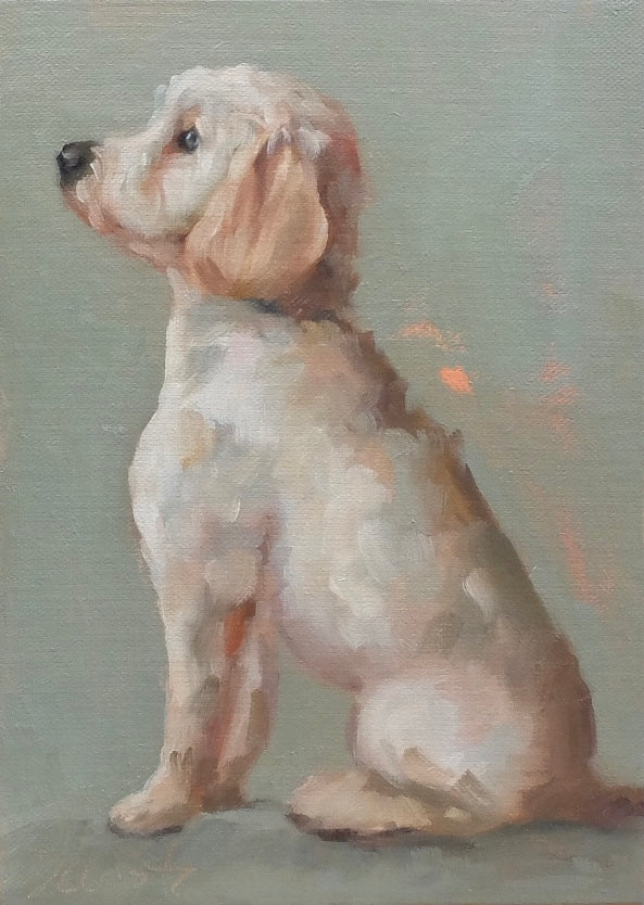 Golden doodle #2