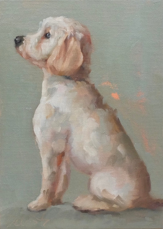 Golden doodle #2