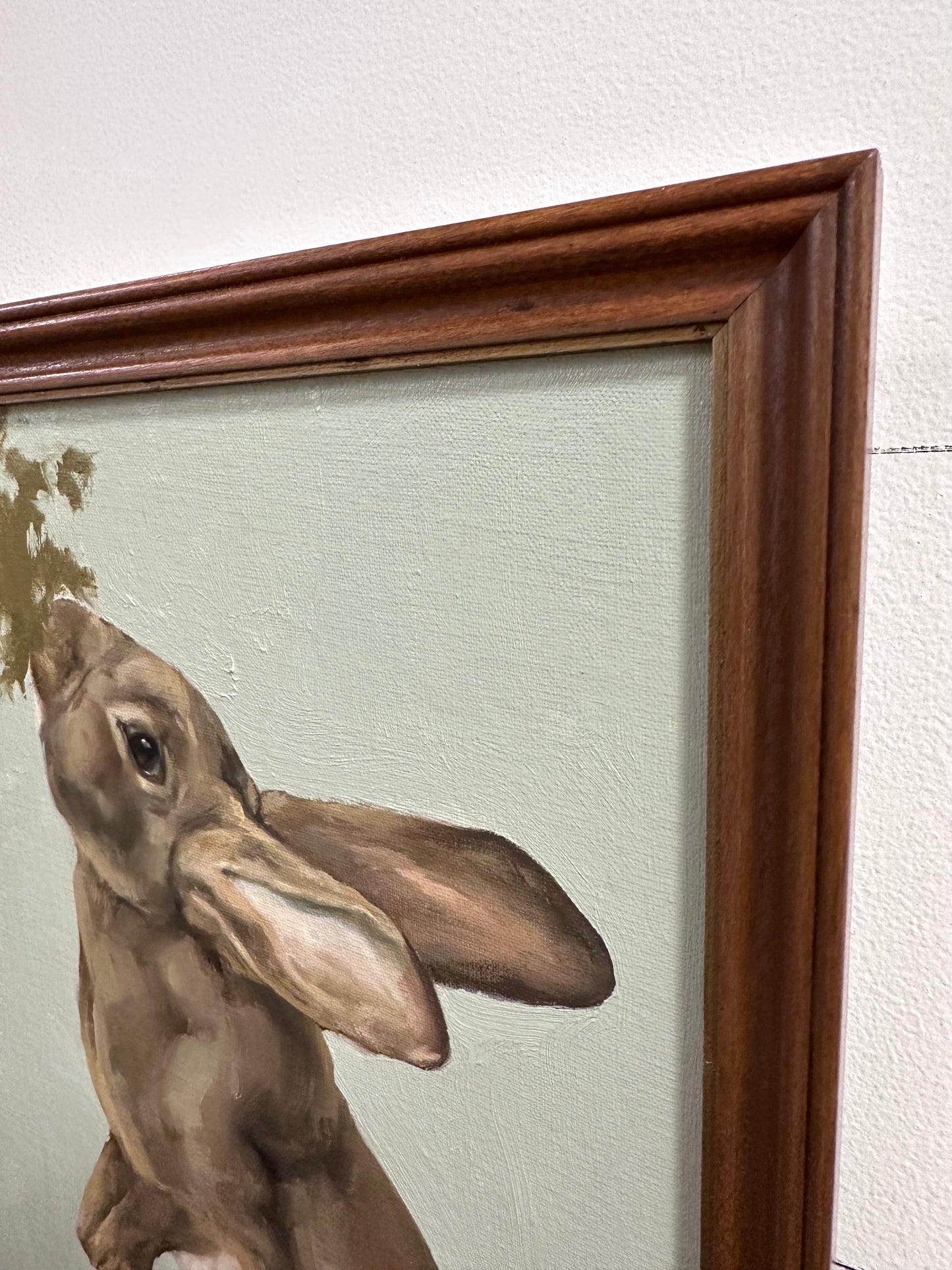 Daisy 🙋🏻‍♀️