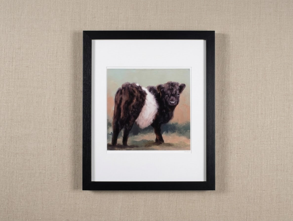 Oreo Belted Galloway Cow