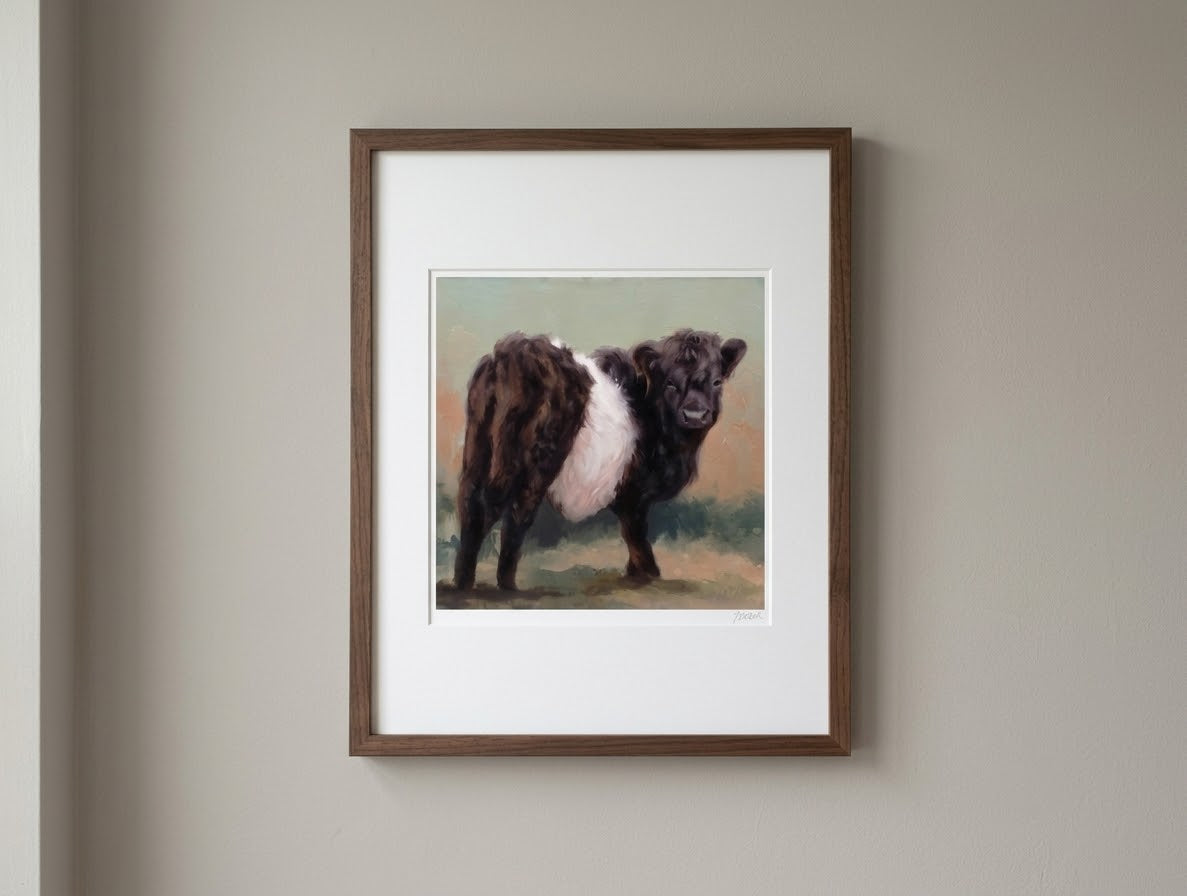 Oreo Belted Galloway Cow