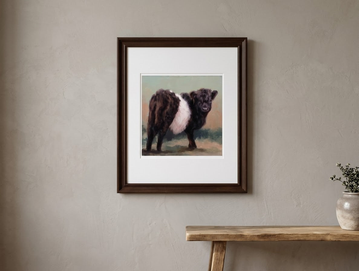 Oreo Belted Galloway Cow