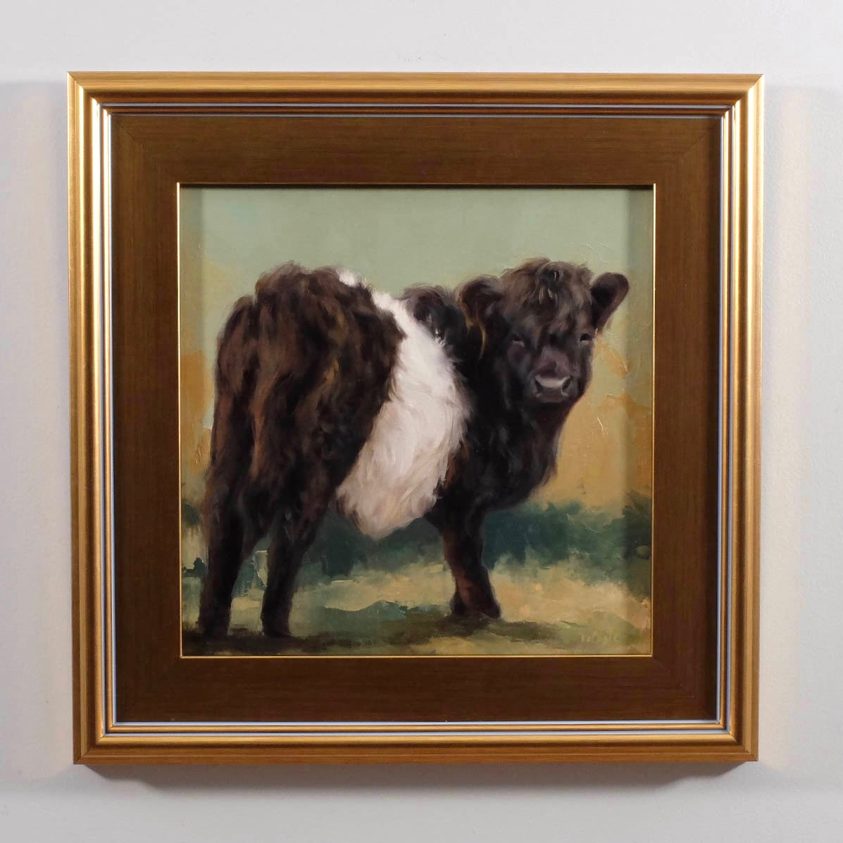 Oreo Belted Galloway cow