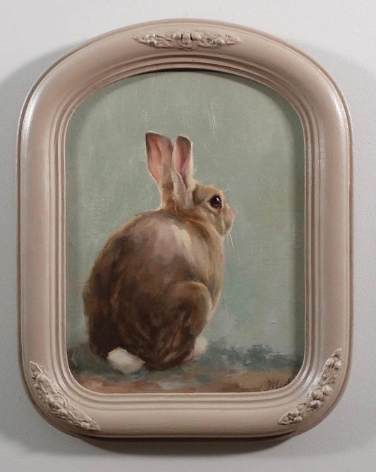 Cottontail