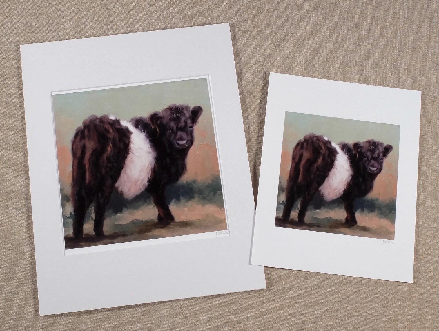 Oreo Belted Galloway Cow