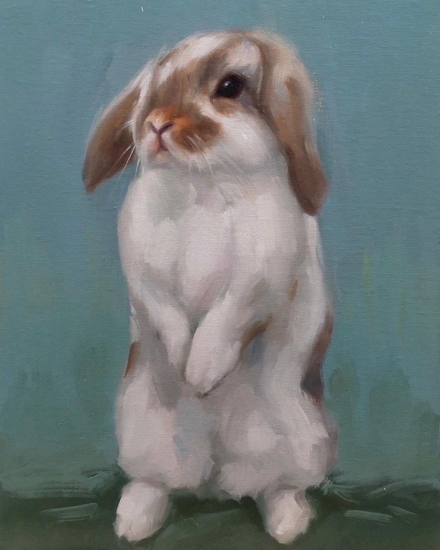 Floppy bunny standing