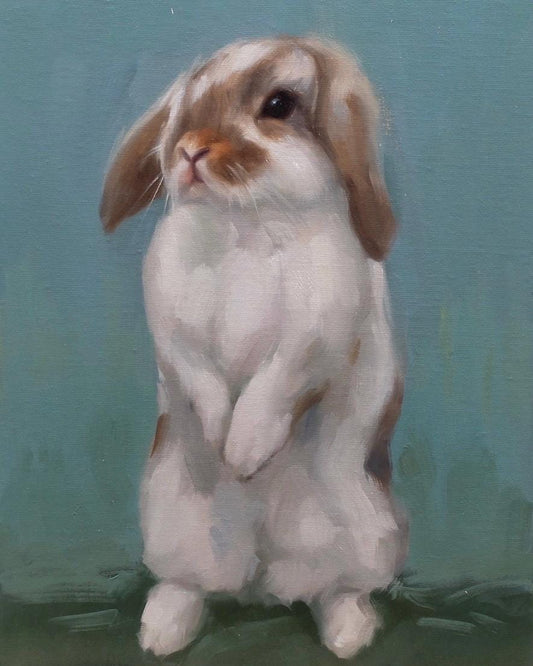 Floppy bunny standing