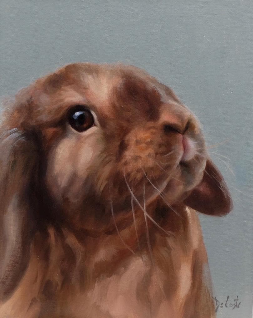 Coco bunny print