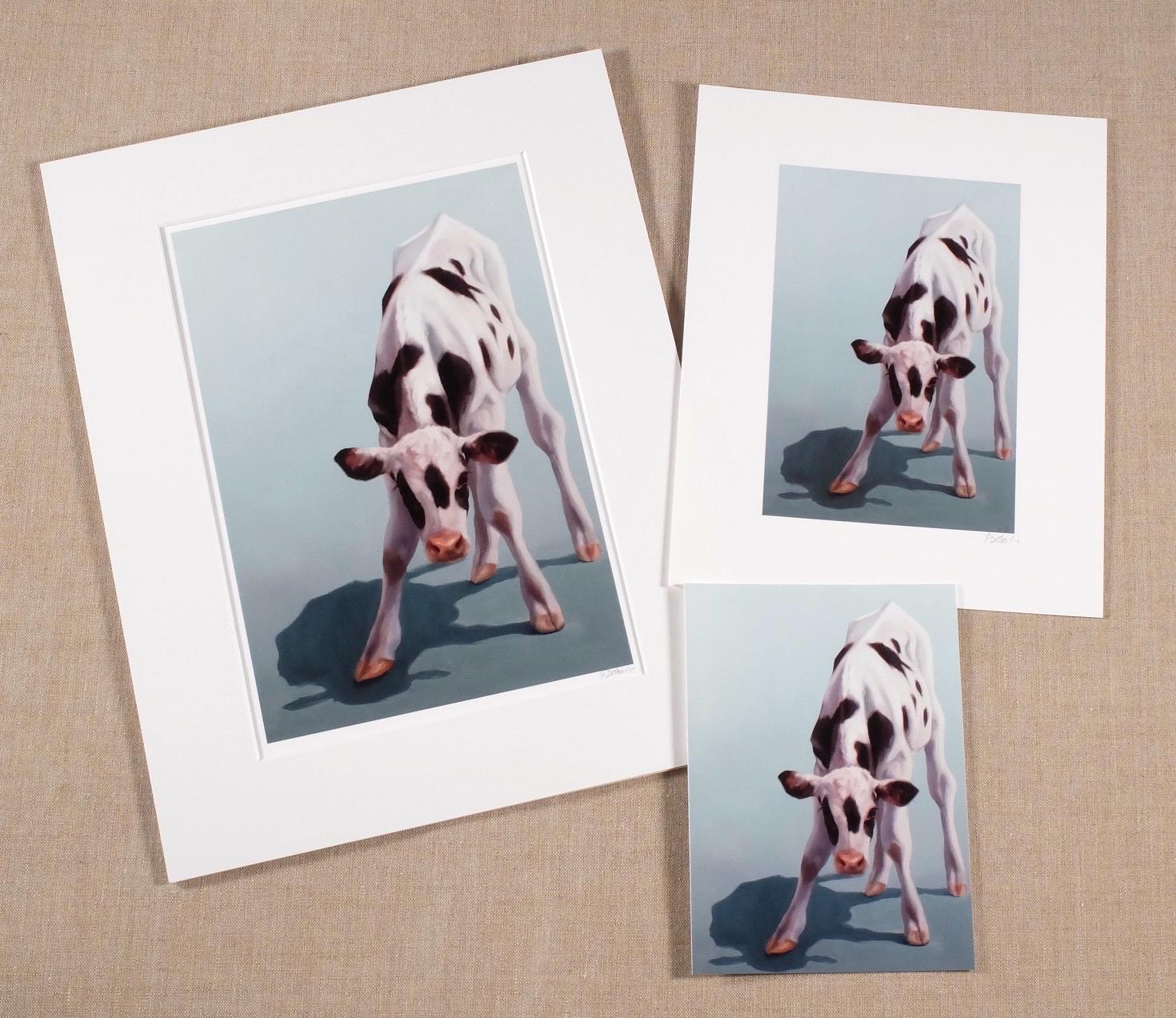Tipsy black and white calf