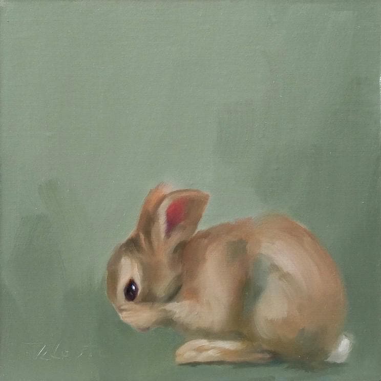 Maxwell bunny print