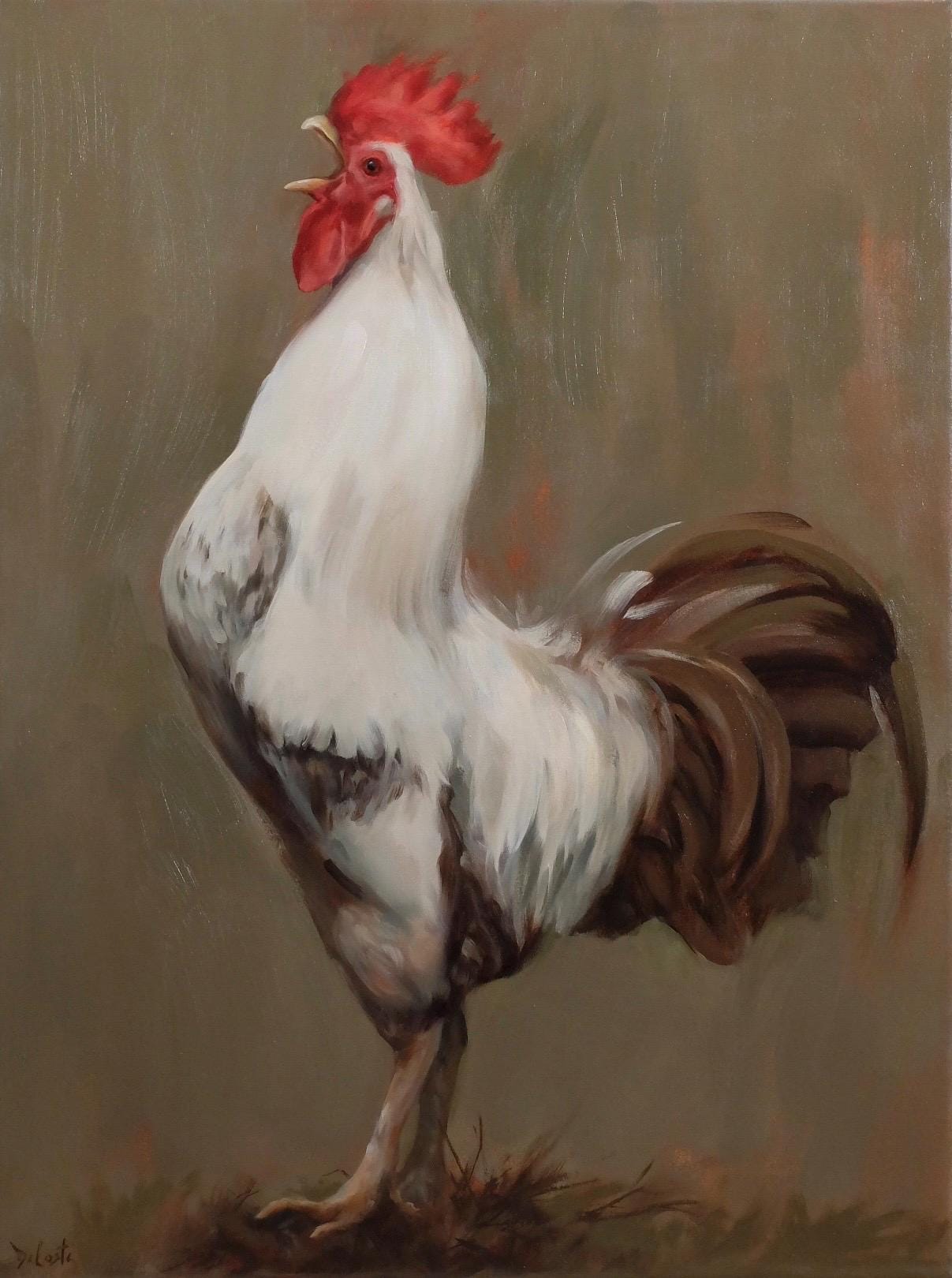 Fabio rooster print