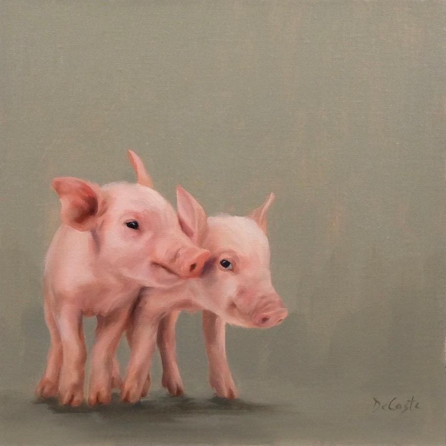 Sibling Love cute piglets