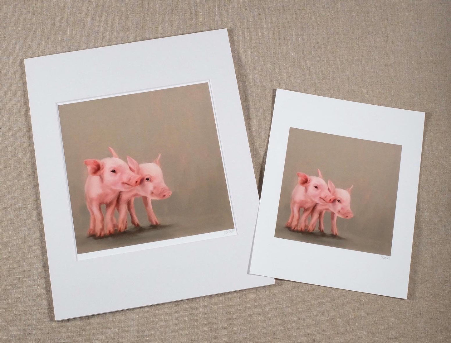 Sibling Love cute piglets