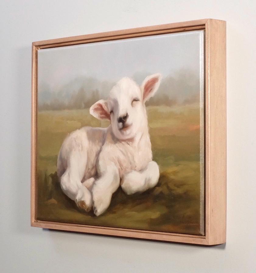 Chillin’ , lamb basking in the sun