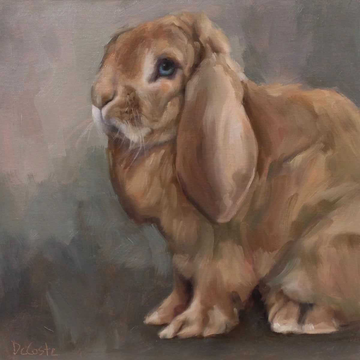 Hazel, Lop Rabbit